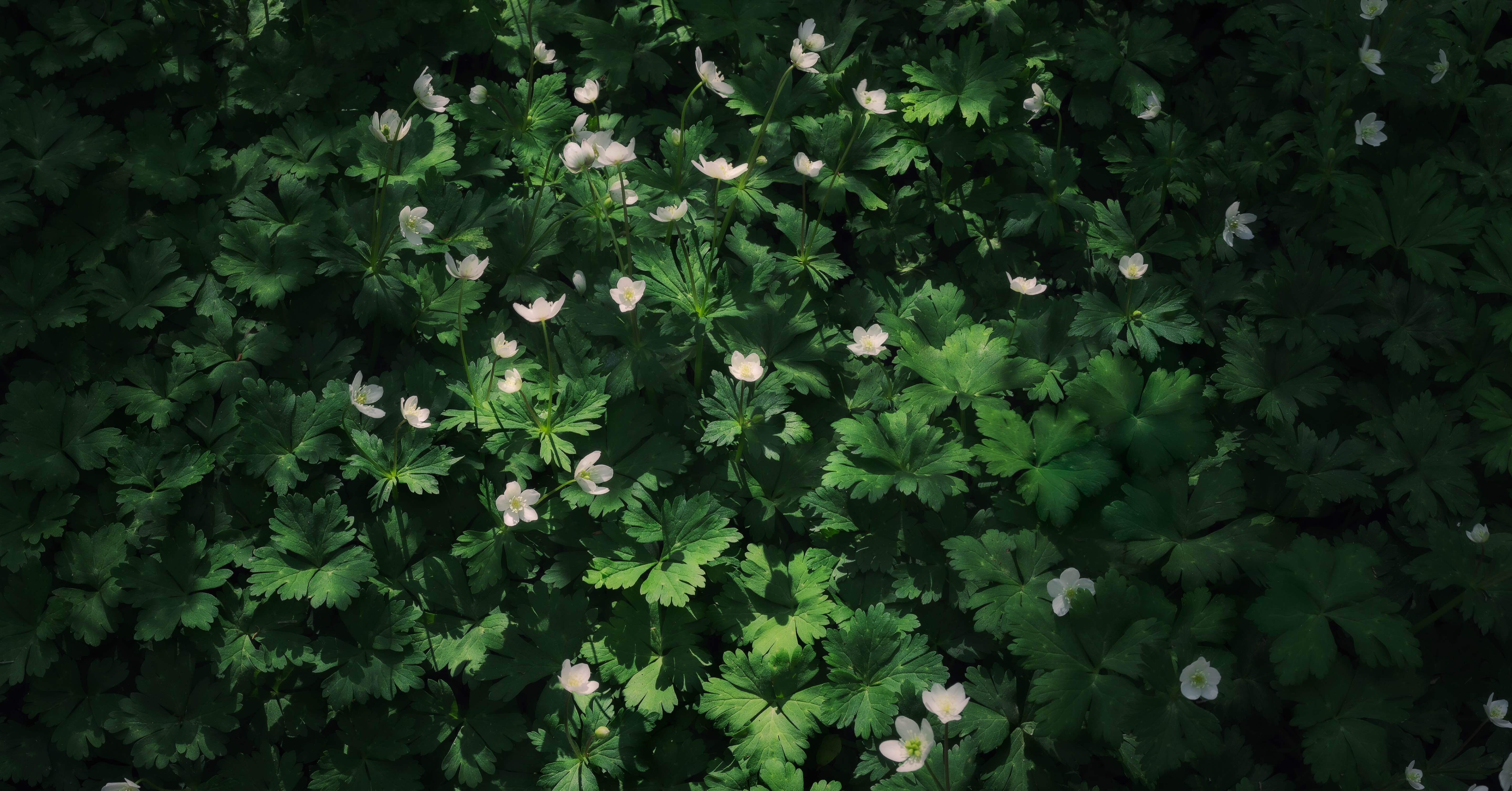 私がなぜ人に自然風景写真を教えたいと思ったのか。｜Yuki Kamishima