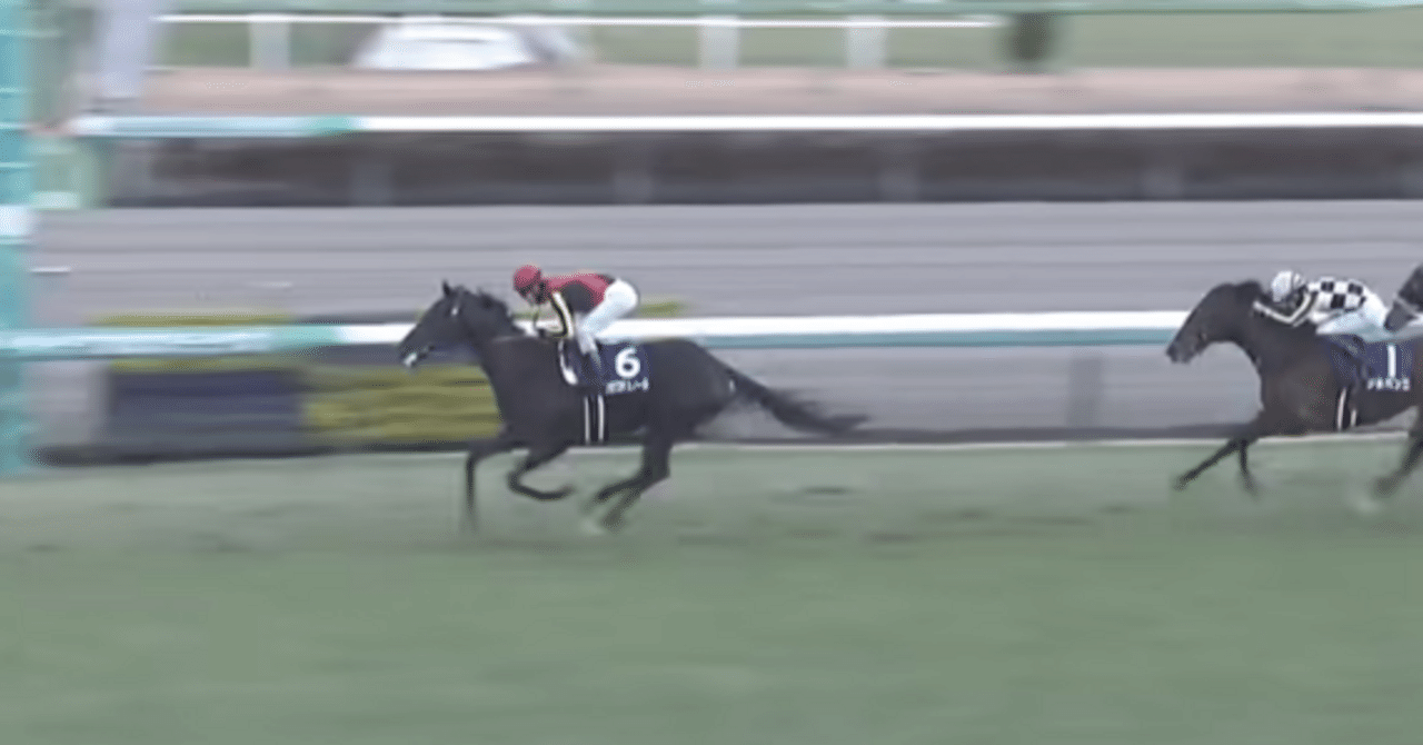 クロワデュノールと2025年日本ダービー考察｜ぱねす