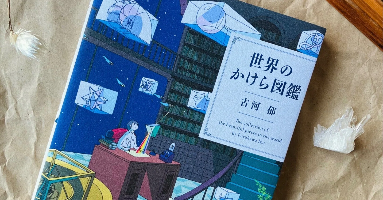 会期延長】5月2日-6月15日｜『世界のかけら図鑑』とその周辺｜恵文社 