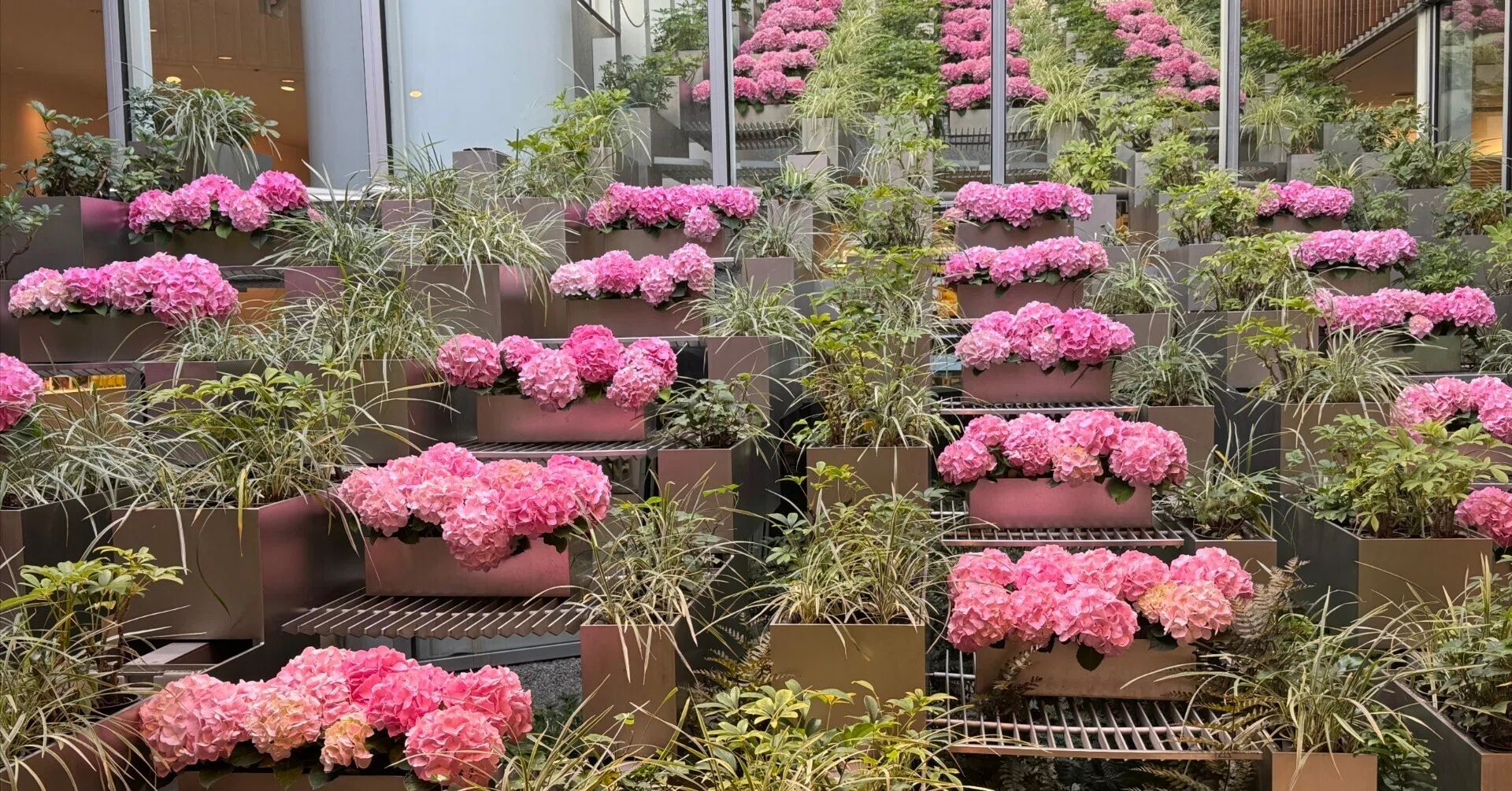 心華やぐ初夏の彩り──大阪 Hilton Plaza West 前の花壇｜Hiro｜AIと