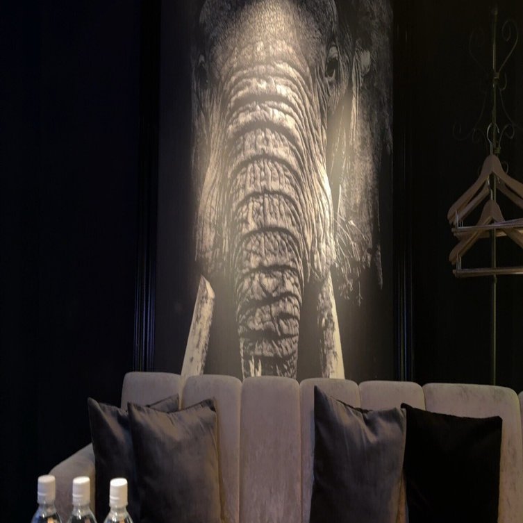 キャバクラでエリア迷ってる方必見”エリア別おすすめ店舗解説note｜アシタカ＠夜職