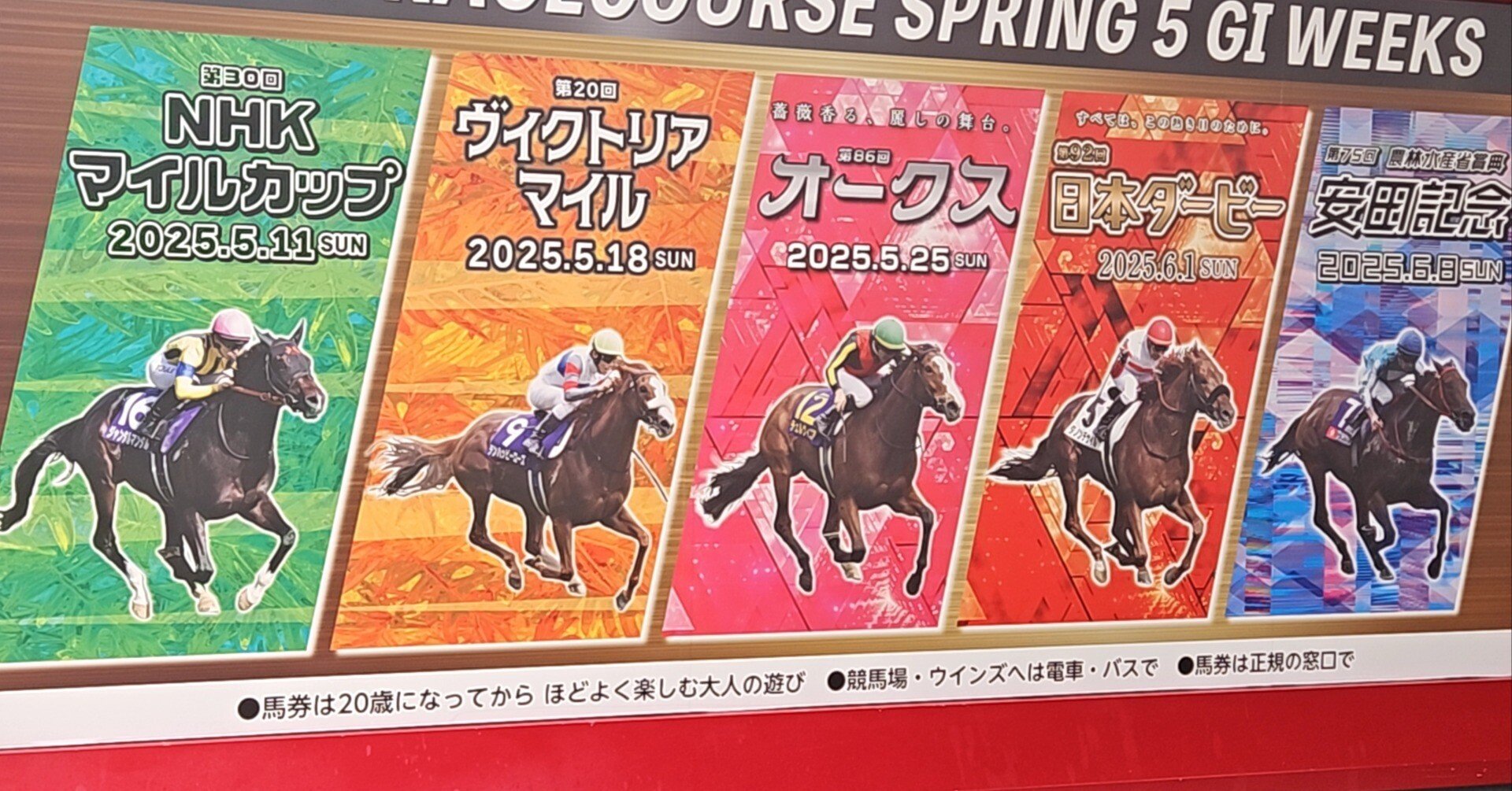 東京競馬場訪問(4/26)｜雛鳥キリン