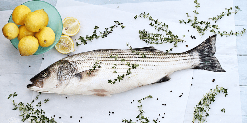 調理法付き アメリカでおすすめの魚12種紹介 Azuna Note 調理法付き アメリカでおすすめの魚12種紹介 Azuna Note