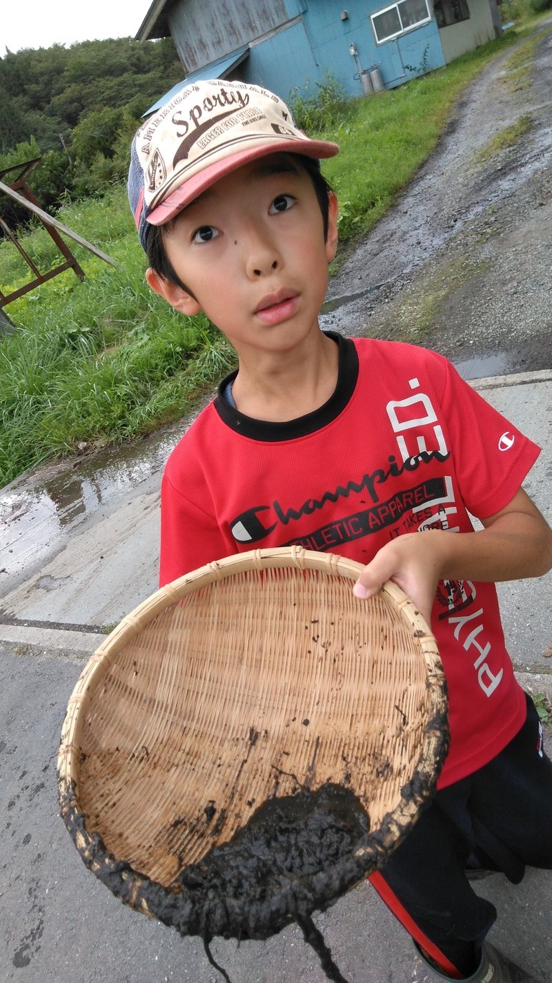 里山ドジョウを食してみた 八戸市自由研究ラボラトリー Note 里山ドジョウを食してみた 八戸市自由研究ラボラトリー Note