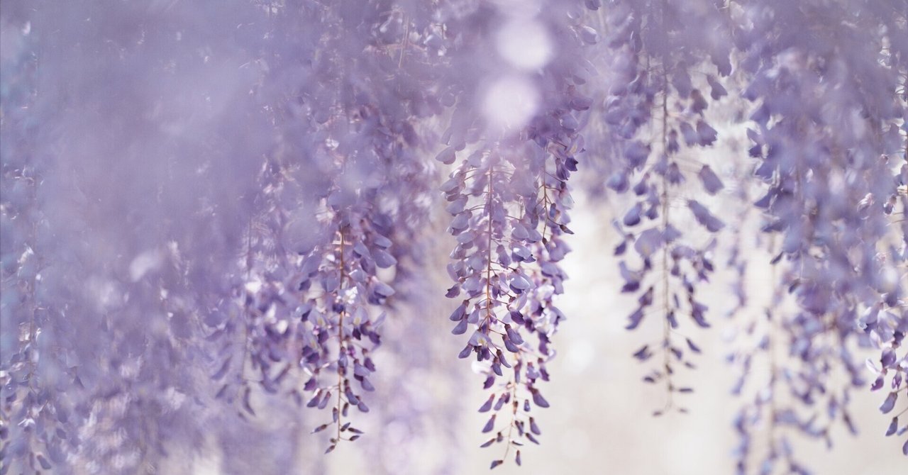 曇り鏡のメロク　foil 日本語　BGS 8 Amazon.co.jp: MTG 曇り鏡のメロク/Melu the Clouded Mirror