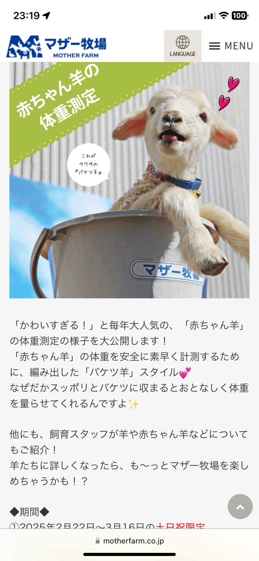 🐏マザー牧場（おかわり）｜夏みかん