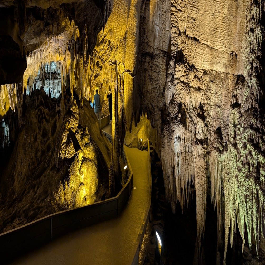 世界最長の洞窟！マンモスケーブ国立公園に行ってきた｜tabirow