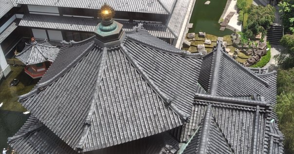 近江の古代寺院 図版篇共 - 歴史、日本史、郷土史、民族・民俗学