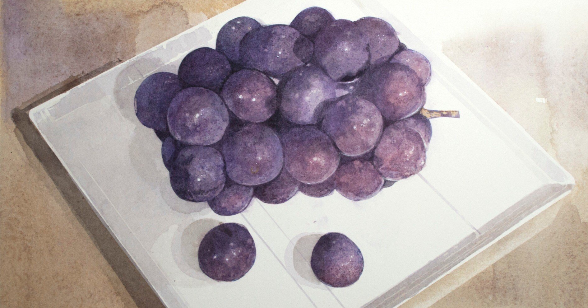 水彩で紫色の明暗を描く・・・艶消し感のある、ぶどうの水彩画｜MASATO