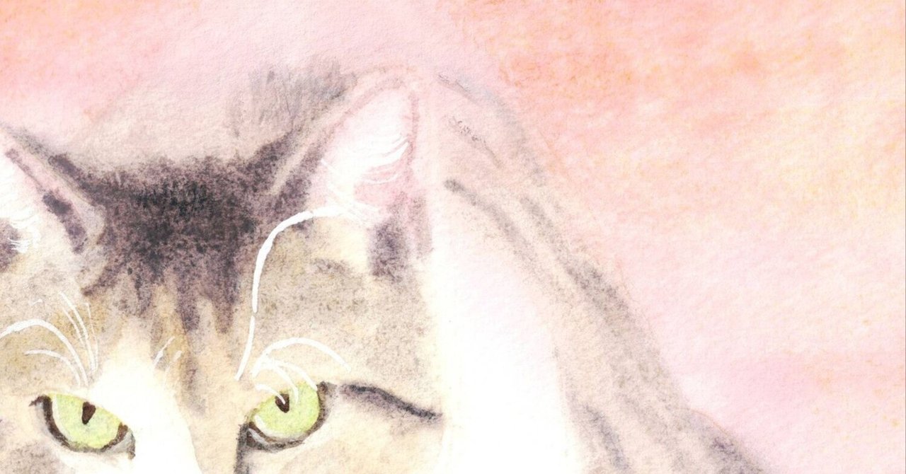 鉛筆画 箱入り猫