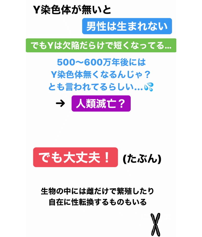 細胞分裂 伊藤 陵亮 Note