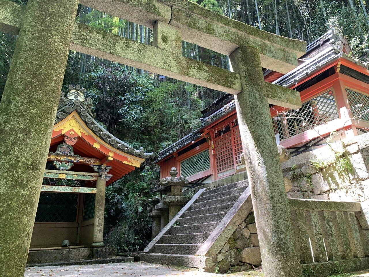 水源のある神社リストにあった石清水八幡宮へ行く｜みかみ まき