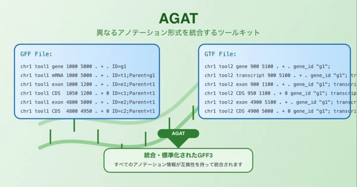 AGAT for Beginners: A Bioinformatics Tool to Easily Integrate Different ...