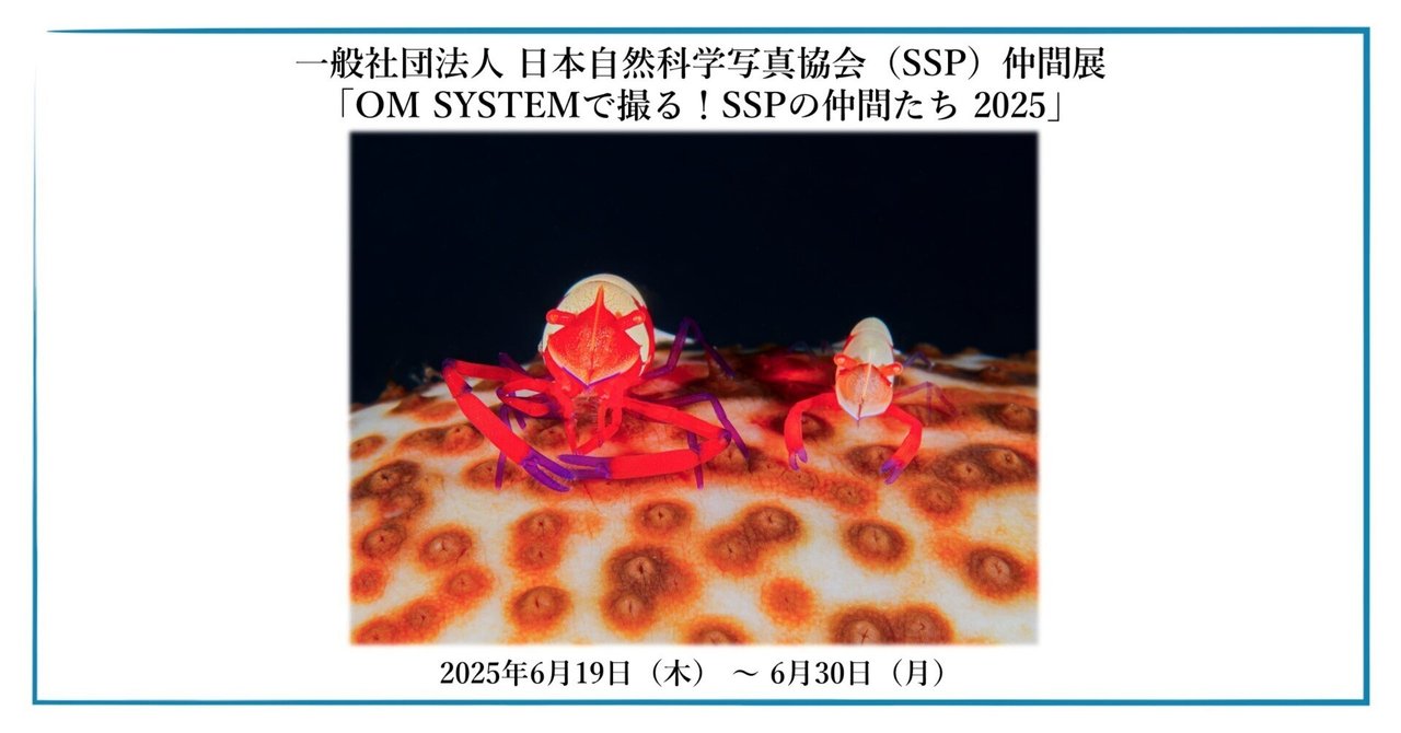 2025年6月19日（木）～ 6月30日（月）一般社団法人 日本自然科学