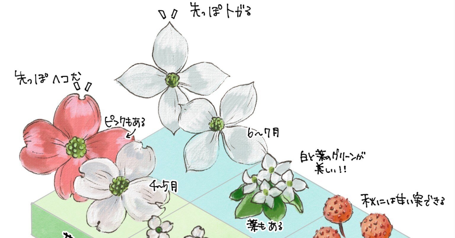 e88d3a789270ffa8266bca804183d1