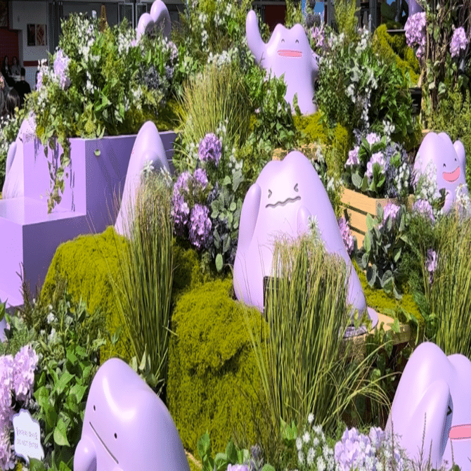 韓国の電話契約が必要⁉️認証必須のイベントに参加する方法@メタモンの