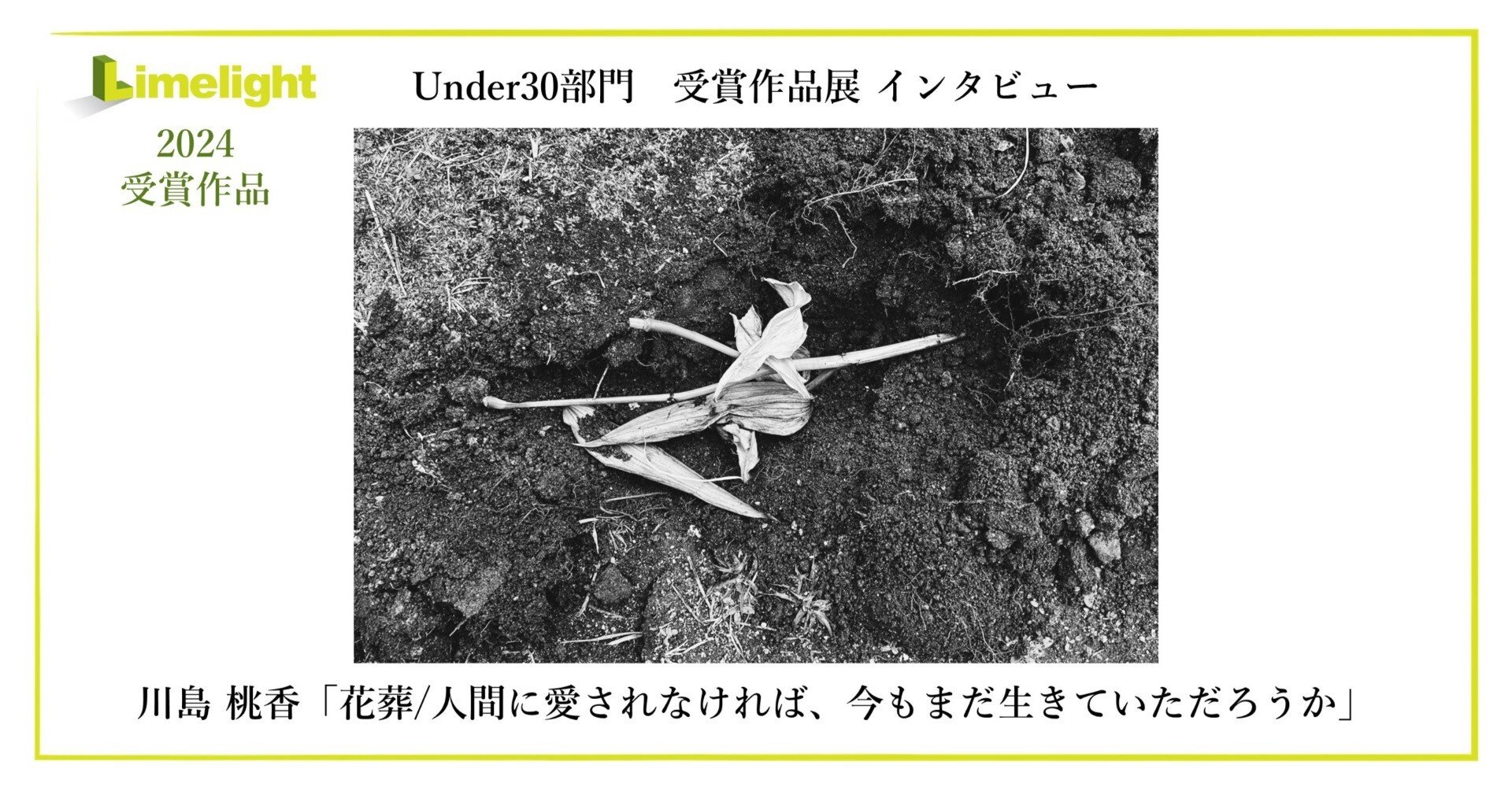 大切なユリの花を忘れないために記録する。「Limelight2024」受賞者