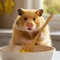 はむの毎日ごはん🐹