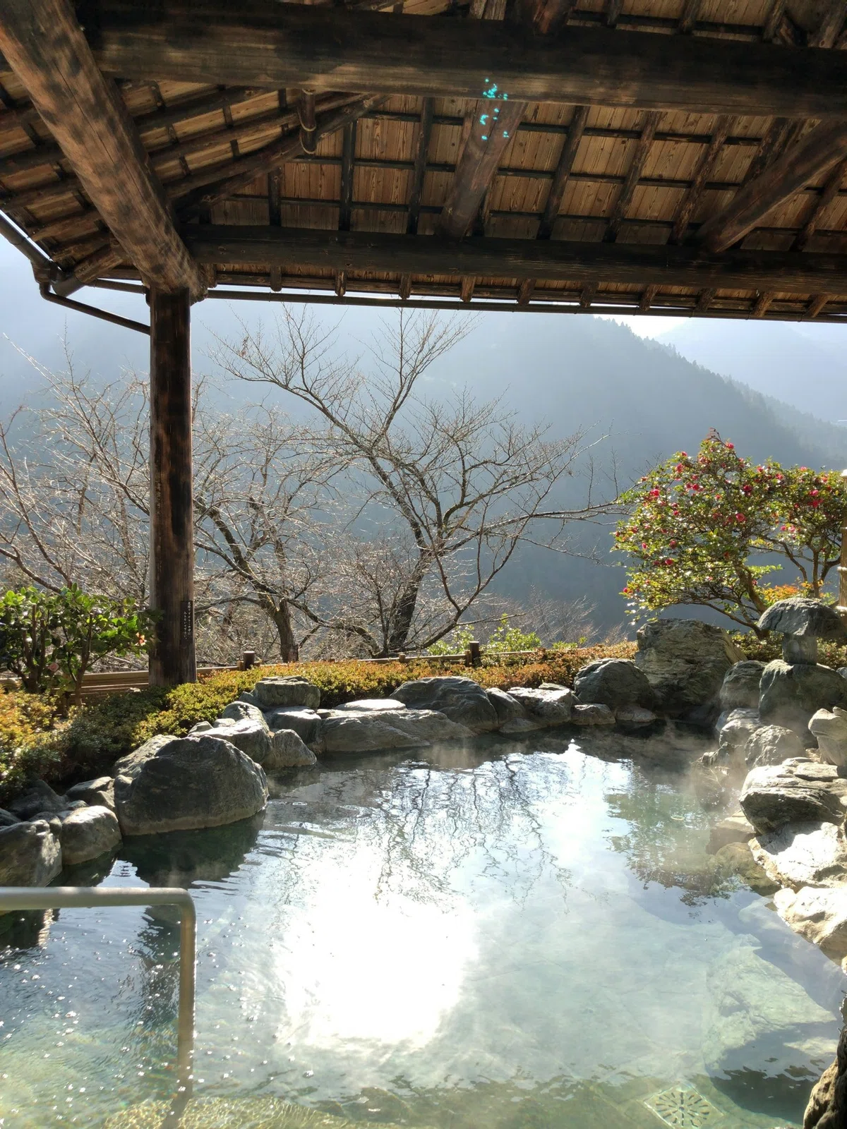 画像8