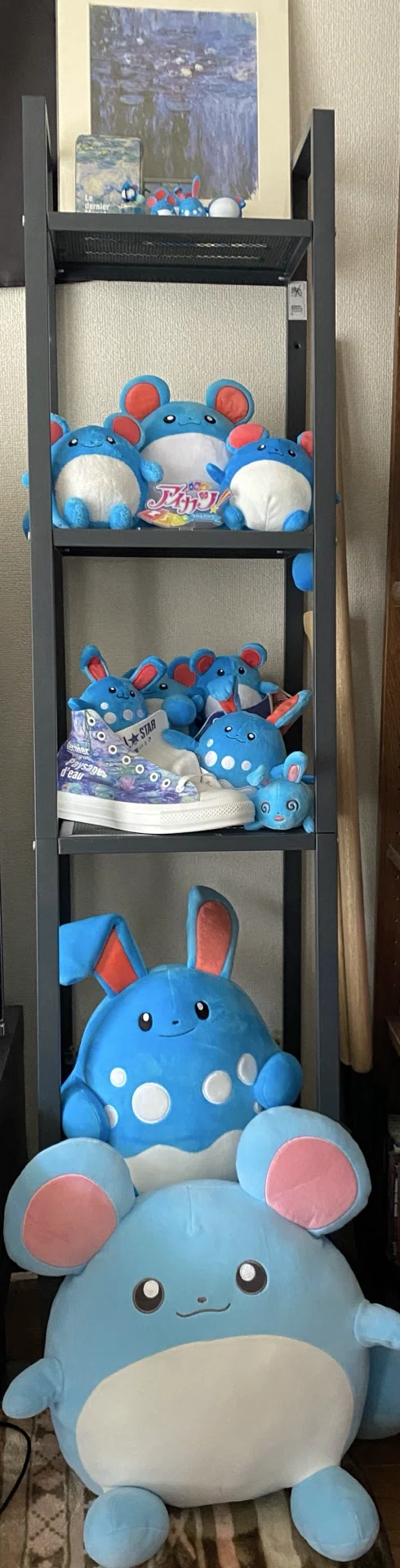 0.8m tall, 28.5kg heavy, that is Azumarill｜キルモーフ