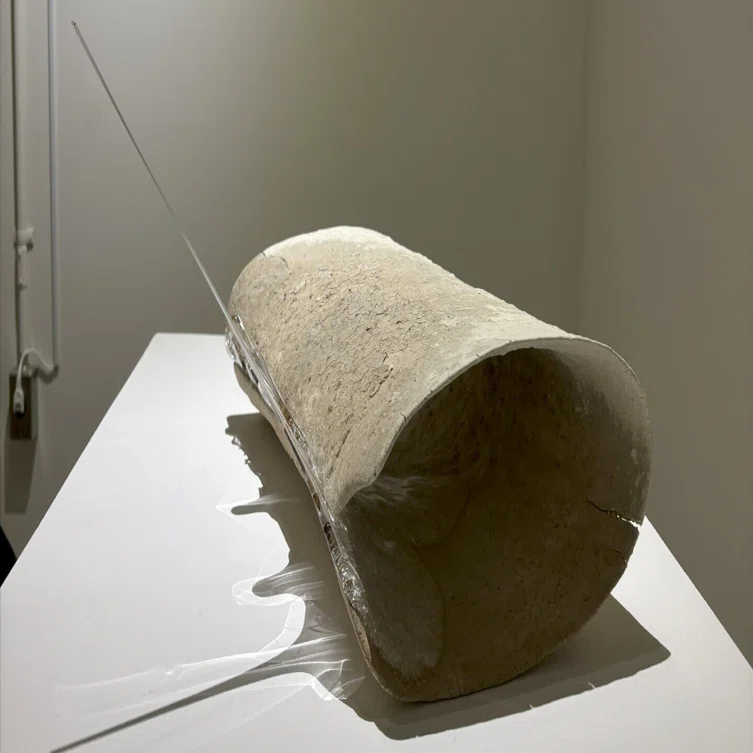 京都市立芸術大学の大西珠江の展示｜Saito Tsutomu