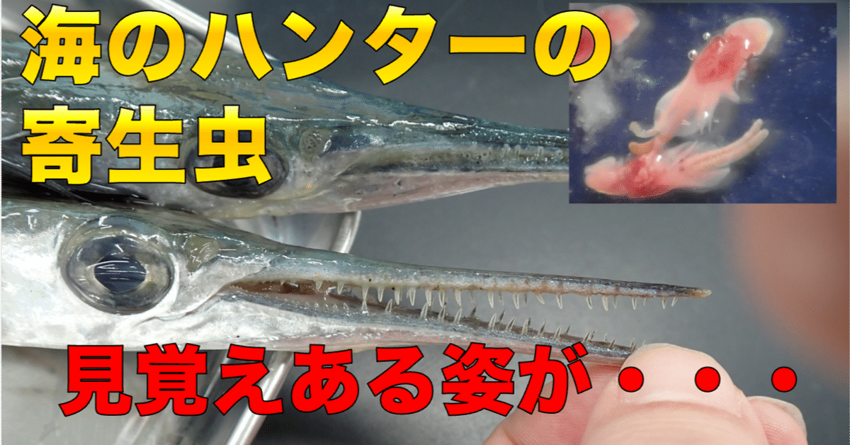 沖縄の歴史と医療史　古代琉球　民間療法　まじない　呪文　フィラリア寄生虫　オマケ 沖縄の歴史と医療史 古代琉球 民間療法 まじない 呪文
