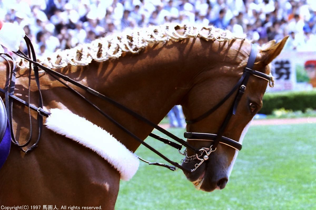 お洒落なタテガミ Catalog トウショウファルコ 馬画人 まがじん Note