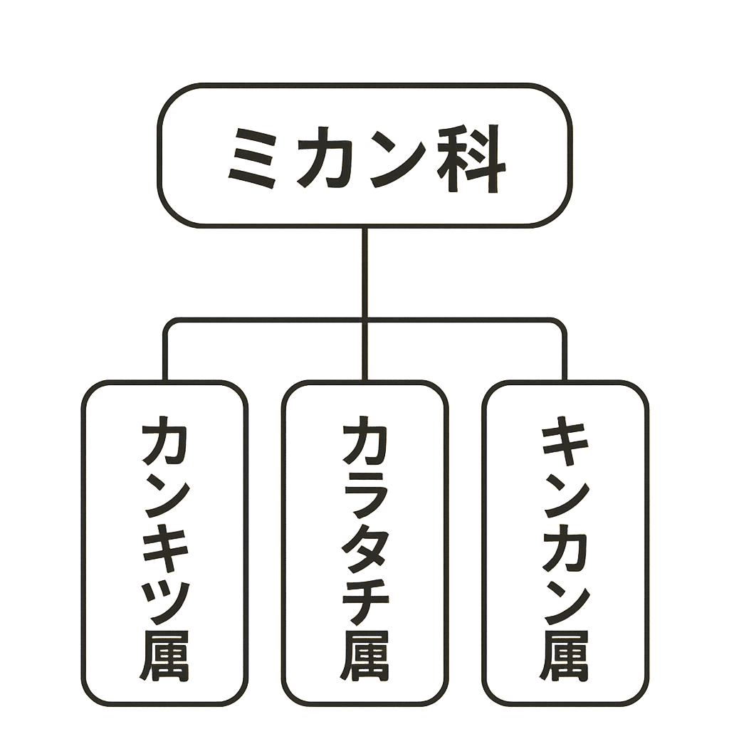 カラタチの発芽|GNU カラタチの発芽|GNU