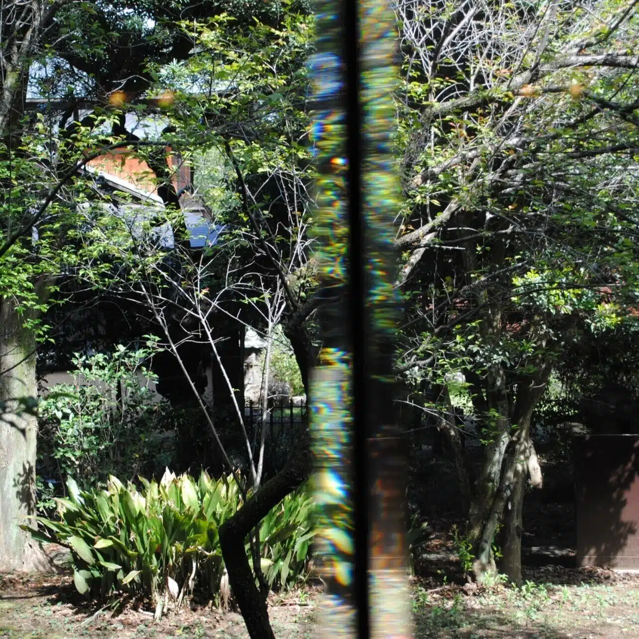 蘭丹