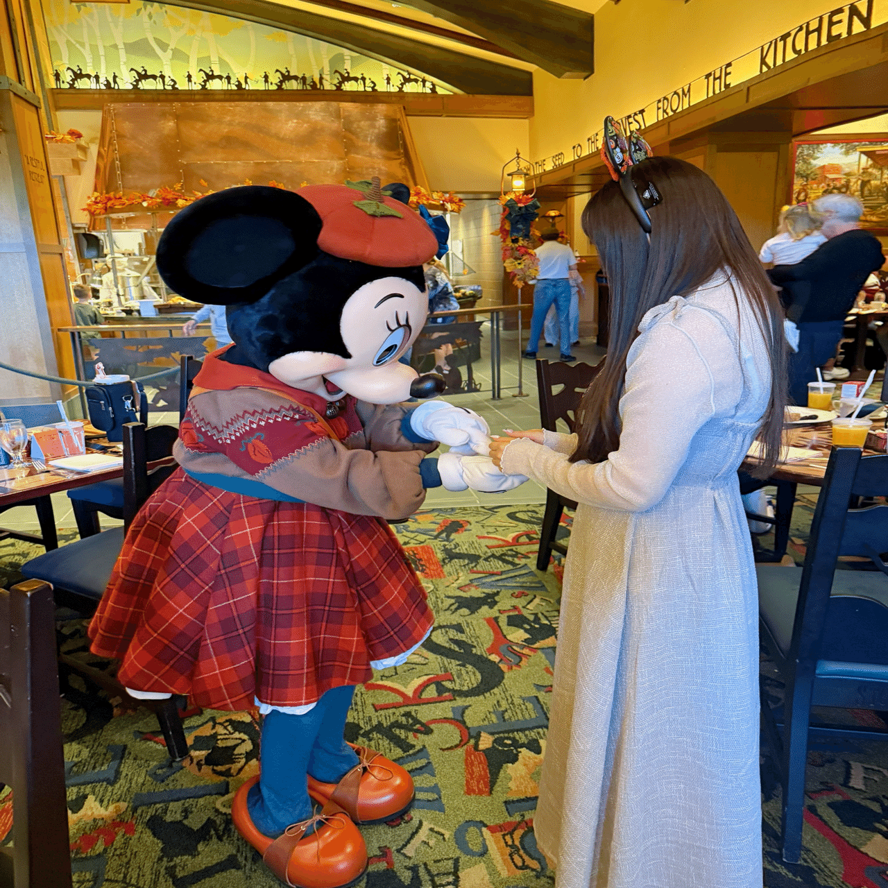 DLR】ウギーブギーバッシュに参加してきたよ【前編】｜RENA