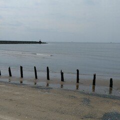 横光利一の「春は馬車に乗って」「花園の思想」「蛾はどこにでもいる