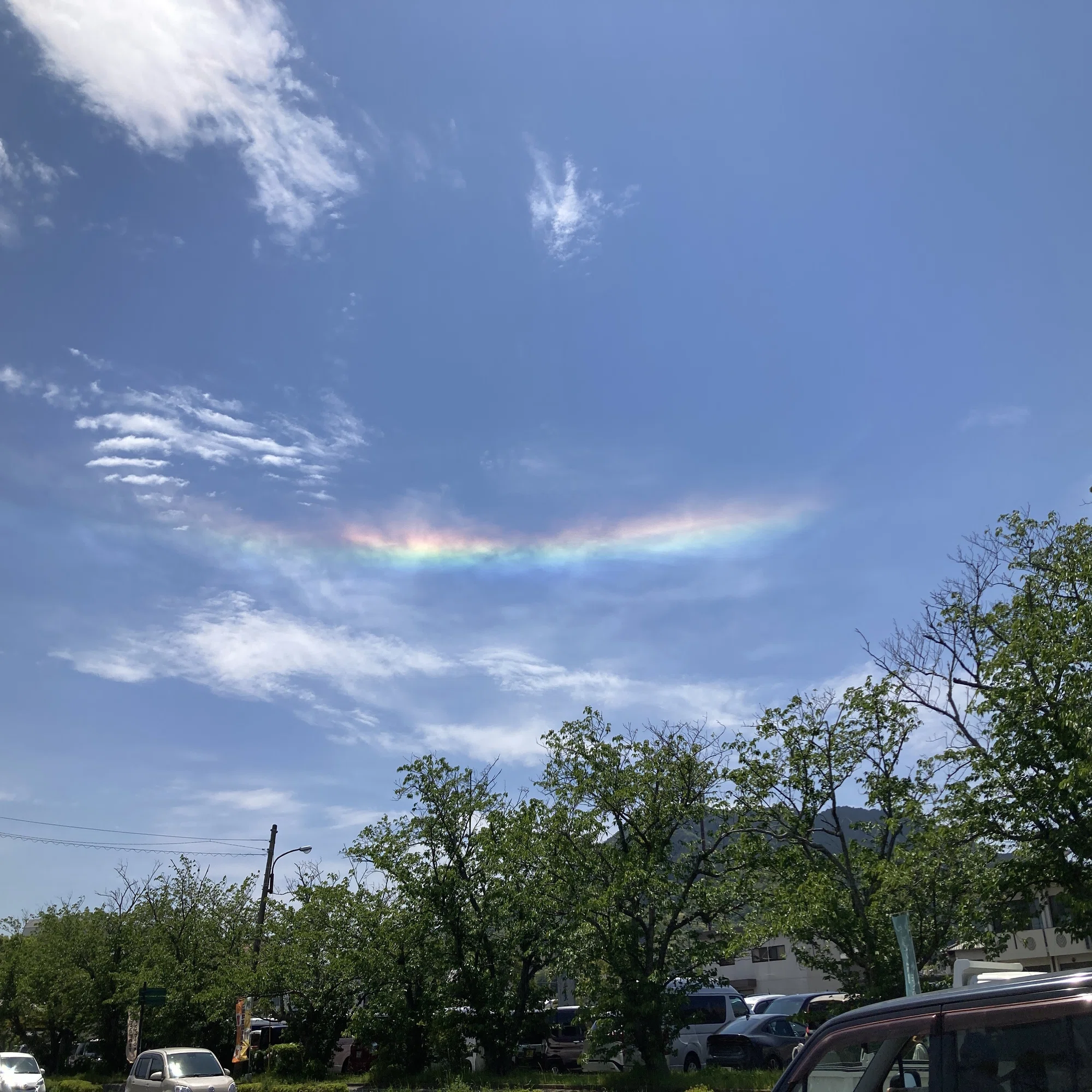 数人が空を見上げてスマホで写真撮ってるから何かなと思ったら、虹