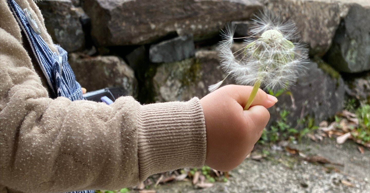 0f5401e9f37b0ab37a4c0a7facab54