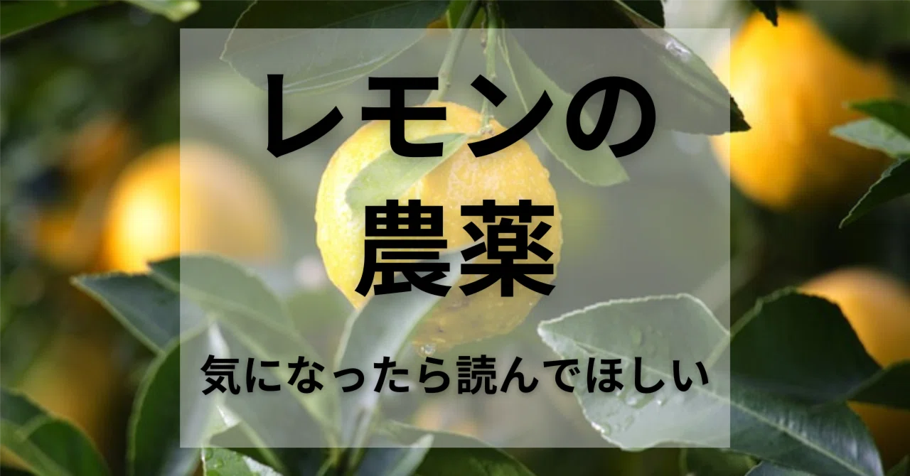 輸入レモン、知らないとちょっと危ない話。｜しんぷる｜40代の身軽な暮らし