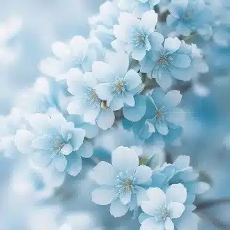 愛莉