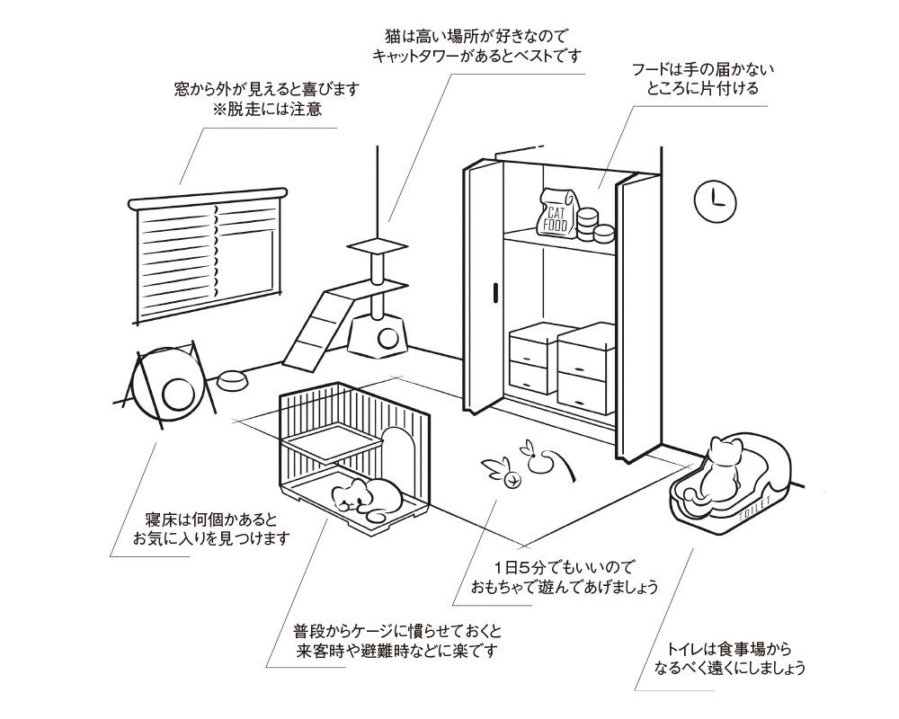 猫を迎える準備｜ネコデア／ねこをテーマにアイデアをカタチに｜note