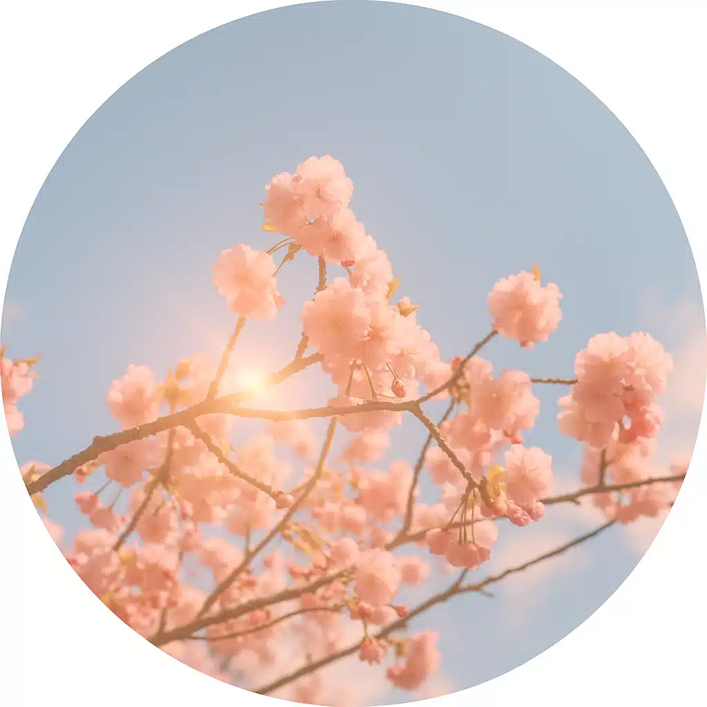 かんなづき｜petal notes