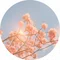 かんなづき｜petal notes