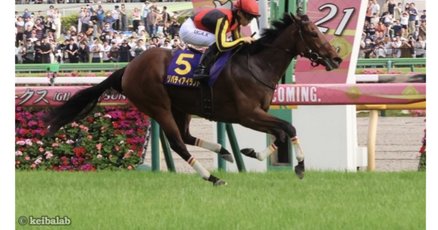 リバティアイランド」の人気タグ記事一覧｜note ――つくる