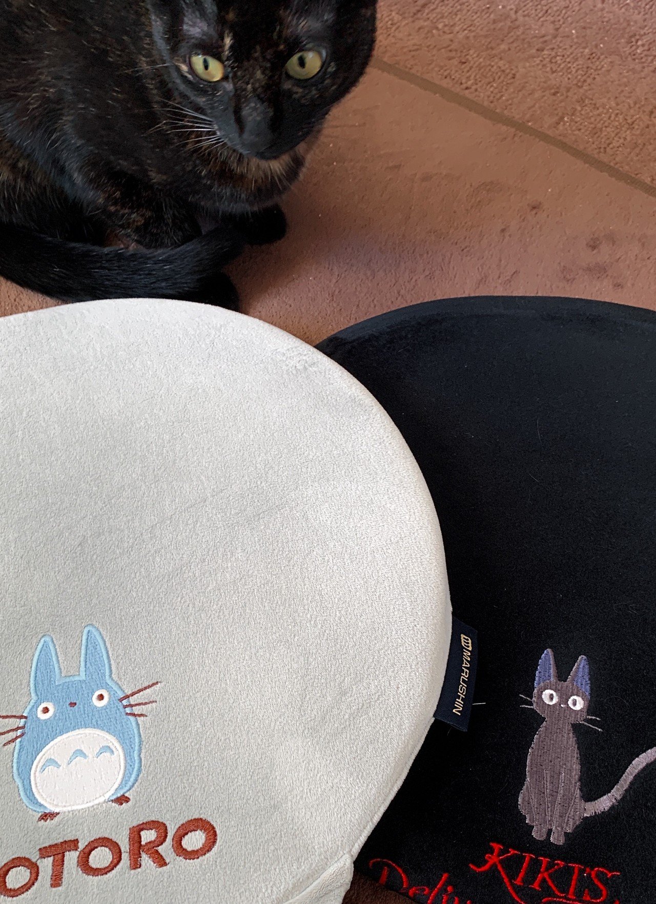 今さら気になり始めてモヤモヤしている案件 片岡信和からの声のお便り Note 今さら気になり始めてモヤモヤしている案件 片岡信和からの声のお便り Note