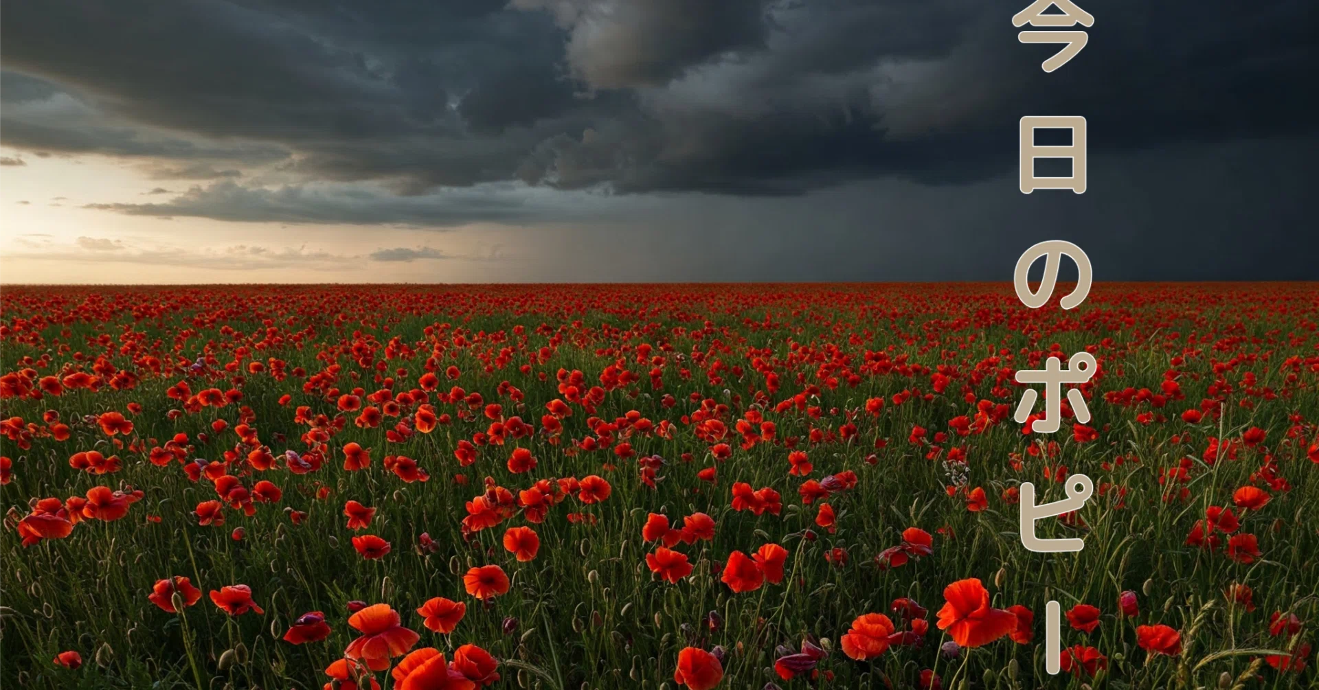 知っておいてほしいANZAC DAYについて‼【オーストラリア・ニュージー