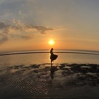 そして いなくなる 僕には世界がふたつある ニール シャスタマン 相地 Note