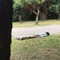 極方体