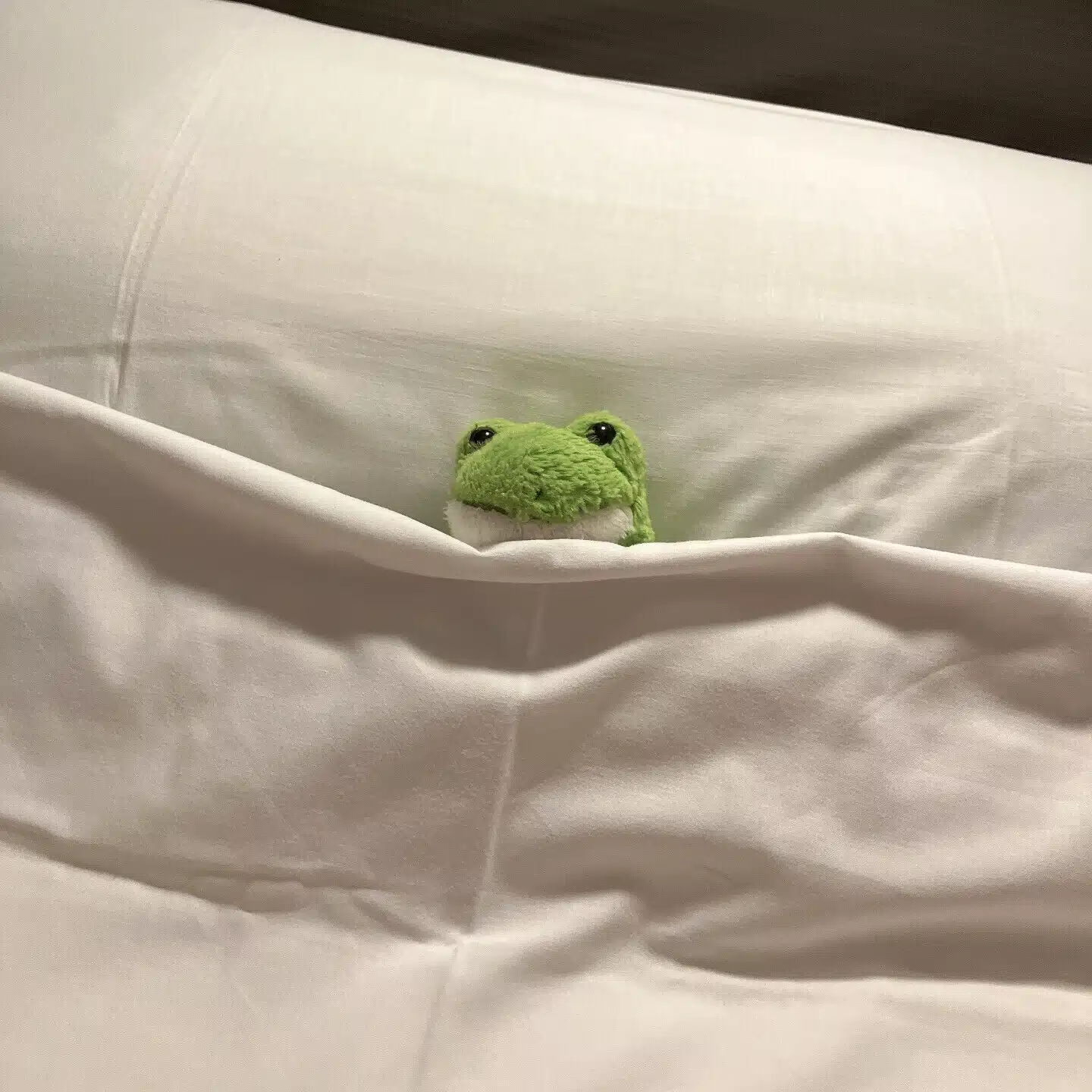 ﾕｯｺｺ