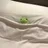 ﾕｯｺｺ