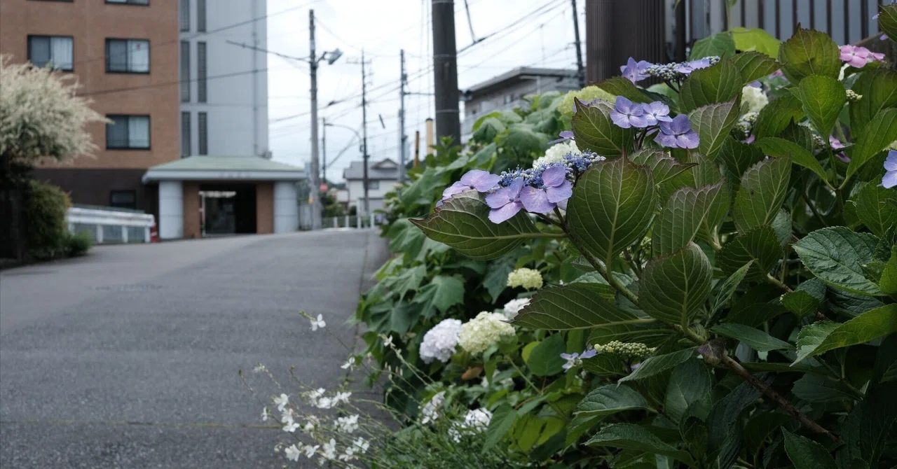 Kosuke Theater - The Enthusiasm of Kana-Yell Once More｜コースケ