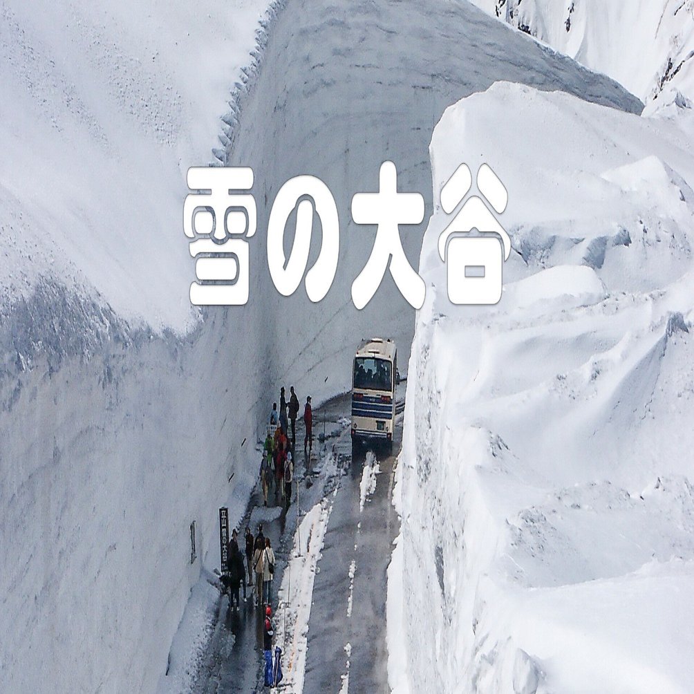 雪の大谷（立山・室堂）｜taka