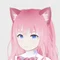 パダルコ
