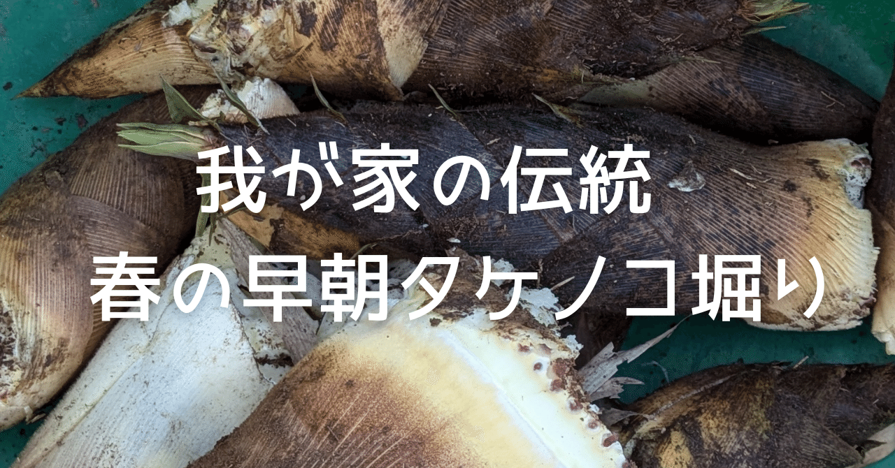 我が家の伝統 春の早朝タケノコ堀り｜朝時間を充実させるコミュニティ