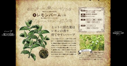 ∮～レモンバーム～∮様 リクエスト 4点 まとめ商品 レモンバーム」の人気タグ記事一覧｜note ――つくる、つながる